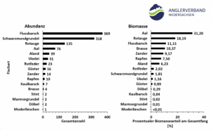 Fischbestandsuntersuchung Elbe-Seitenkanal, ESK, Anglerverband Niedersachsen, AVN, Fischbestand ESK
