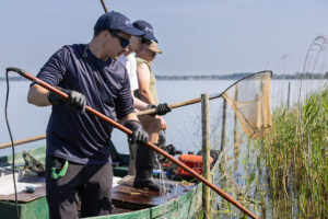 Dümmer, Anglerverband Niedersachsen, Fischbestand, Fischbestandserhebung, Elektrobefischung, Wissenschaftliche Untersuchung