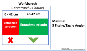 Wolfsbarsch, EU, Entnahme, Baglimit, Wolfbarsche fangen, Drei Tiere, Niedersächsische Küstengewässer,Vorgabe, rechtliches Vorgaben