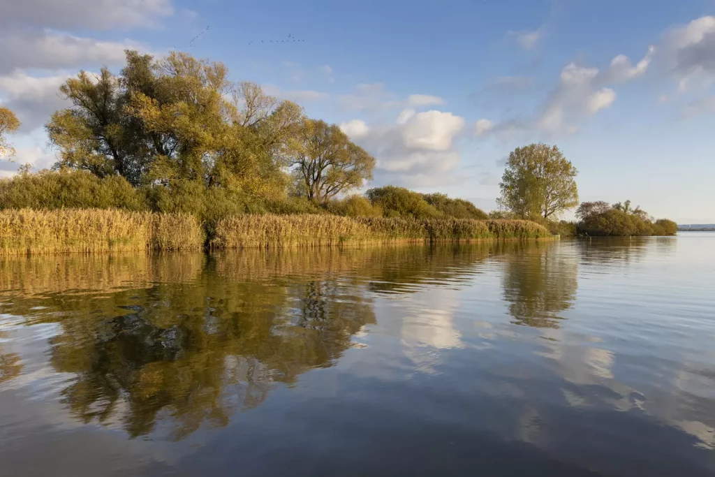 AVN-Verbandsgewaesser_Duemmer-See-1