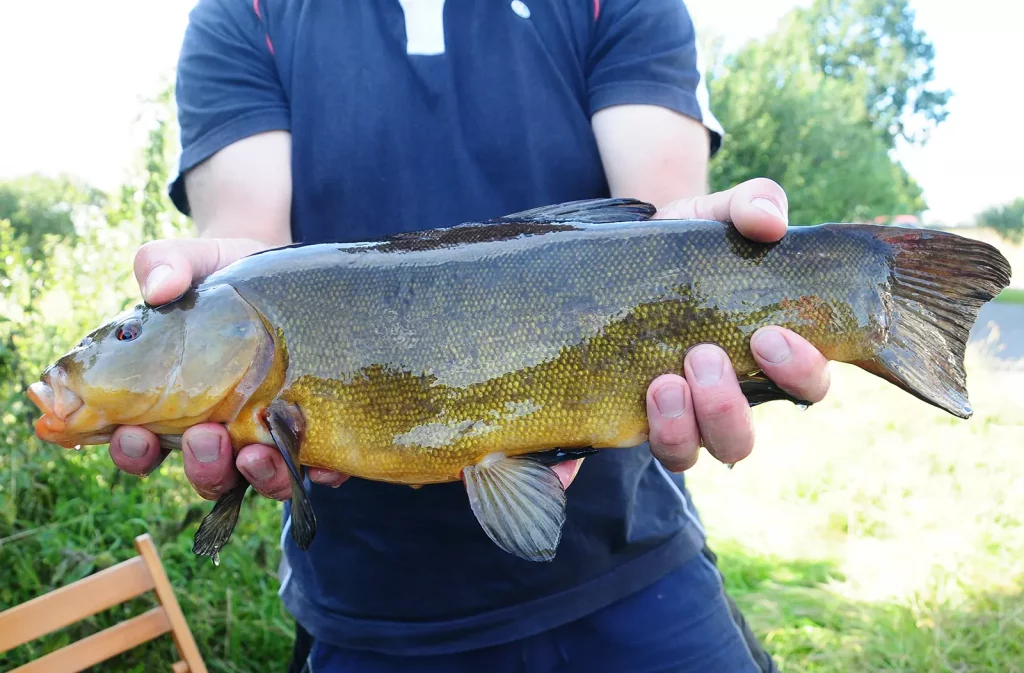 AVN-Verbandsgewaesser_HadelnerKanal-2