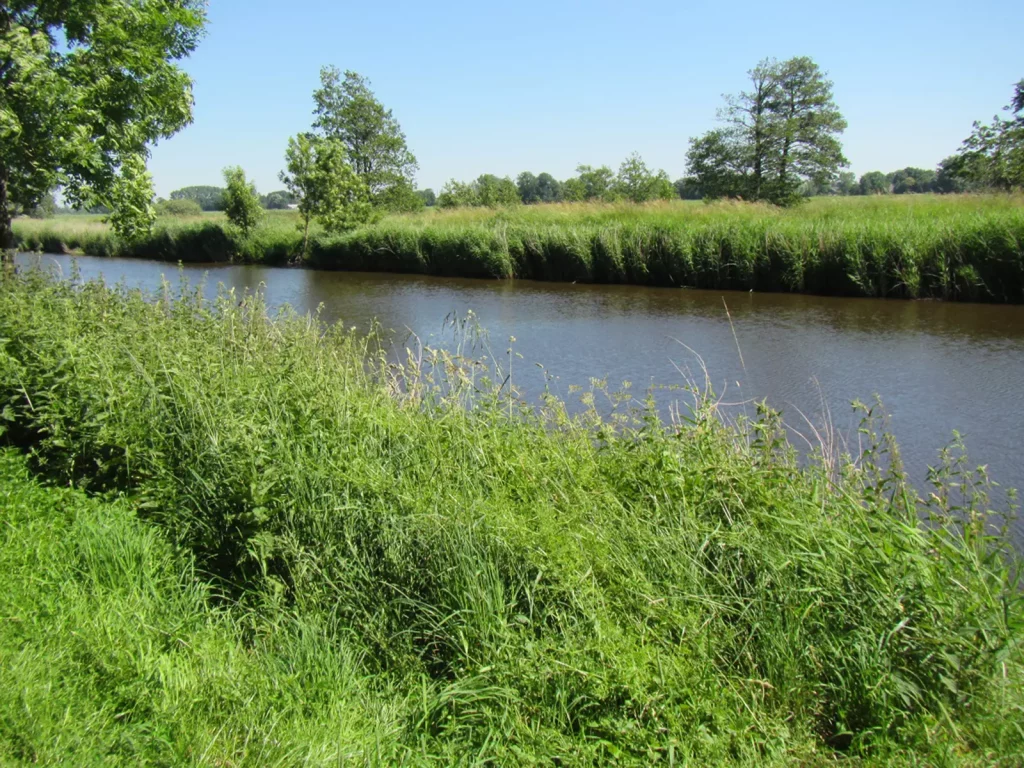 AVN-Verbandsgewaesser_HadelnerKanal-5