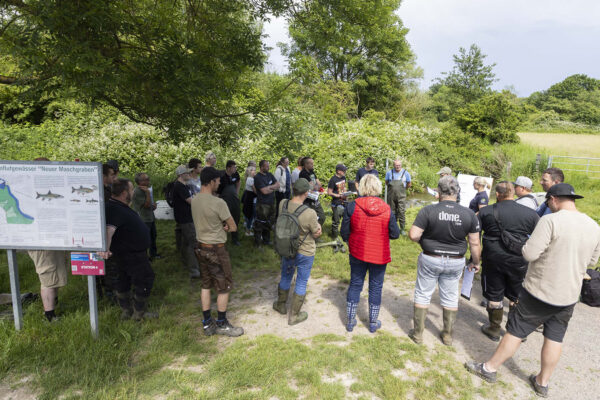 AVN_FMO_240527_144639-2_TItel