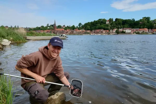 Aalbesatz_2024_AngerverbandNiedersachsen (3)