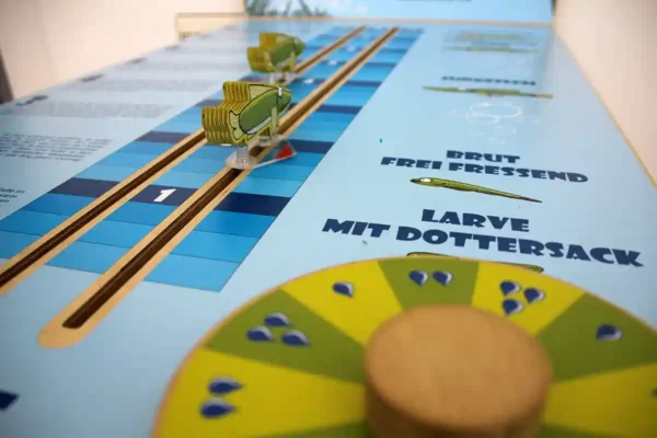 Das Werde-Laichkönigin-Spiel zur Fischart Hecht © Biosphaerium