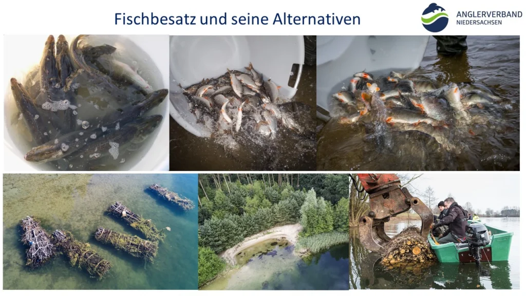 Vortrag_Besatz_Still_Fliessgewaesser_Angelverein_AVN