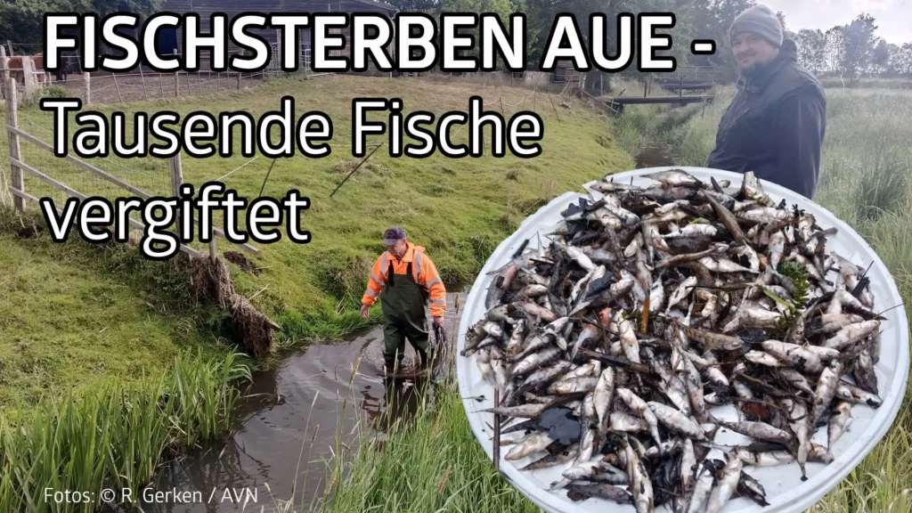 Fischsterben