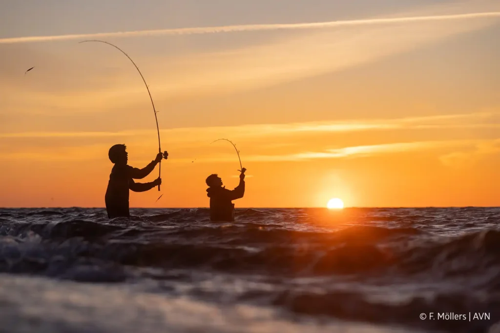 Jugendliche angeln auf Fehmarn beim AVN-Jugendbrandungsangeln.