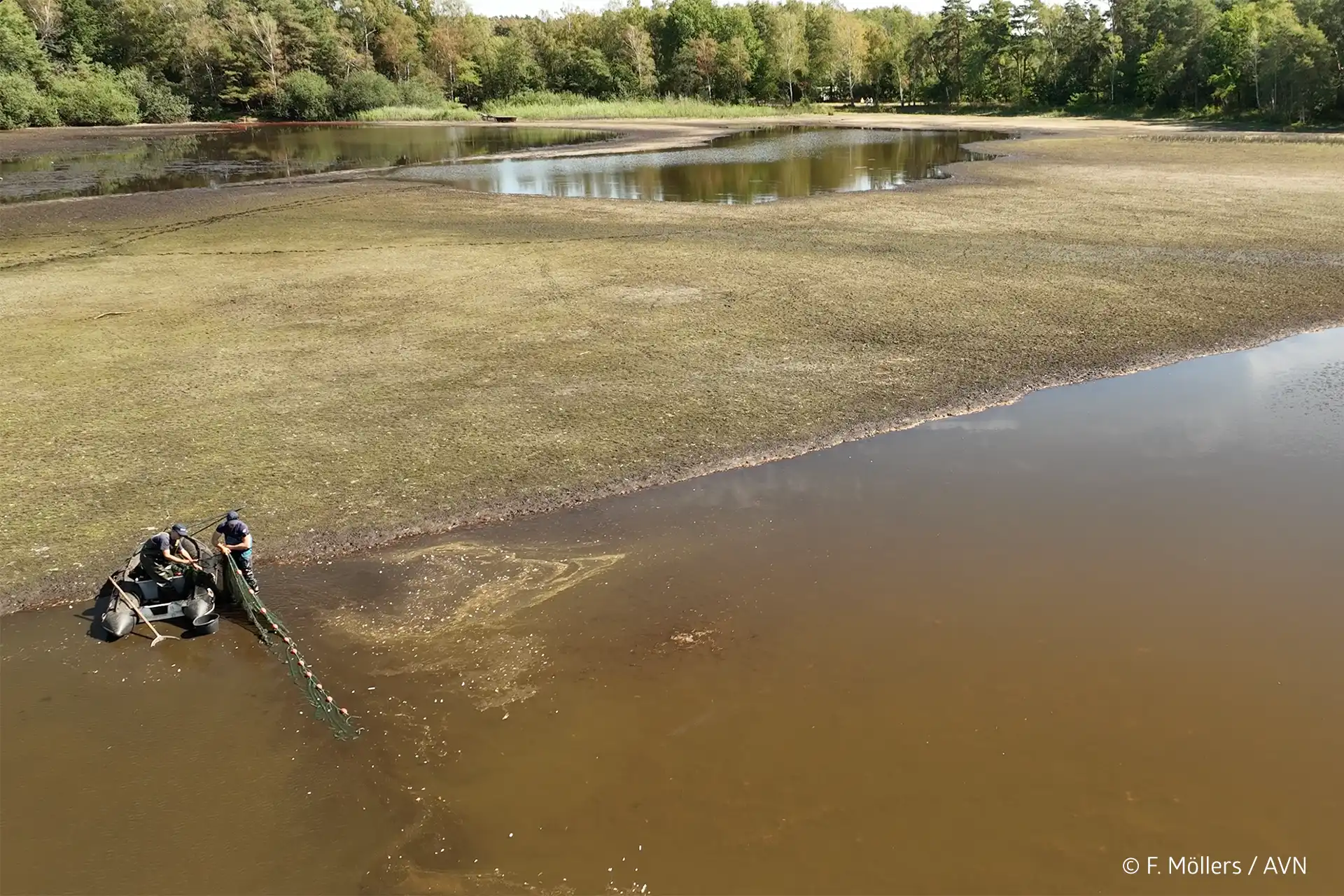 Würmsee Fischbergung AVN
