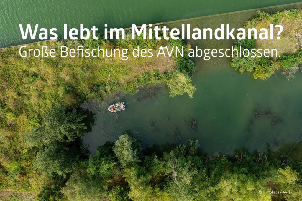 AVN: Mega-Befischung im Mittellandkanal