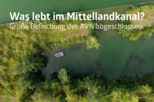 AVN: Mega-Befischung im Mittellandkanal