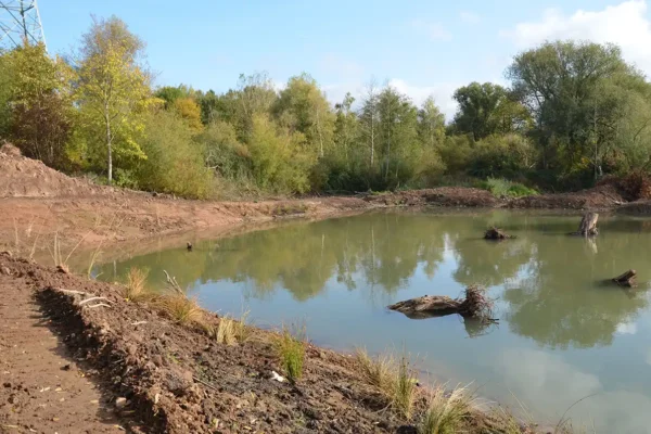 251010_Flachwasserzone_Hameln-Tuendern_E.Cyrus (131)