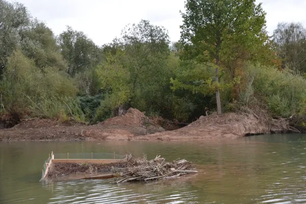 251010_Flachwasserzone_Hameln-Tuendern_E.Cyrus (187)