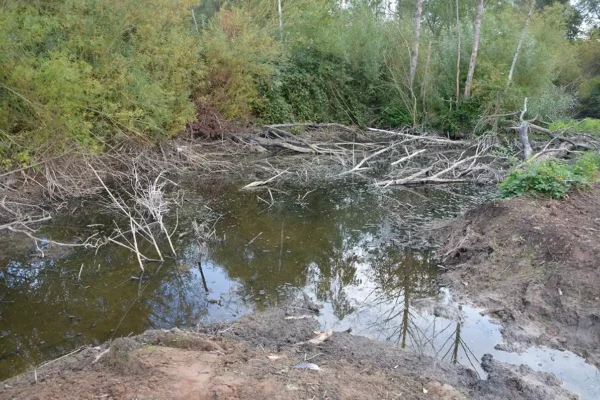 251010_Flachwasserzone_Hameln-Tuendern_E.Cyrus (30)