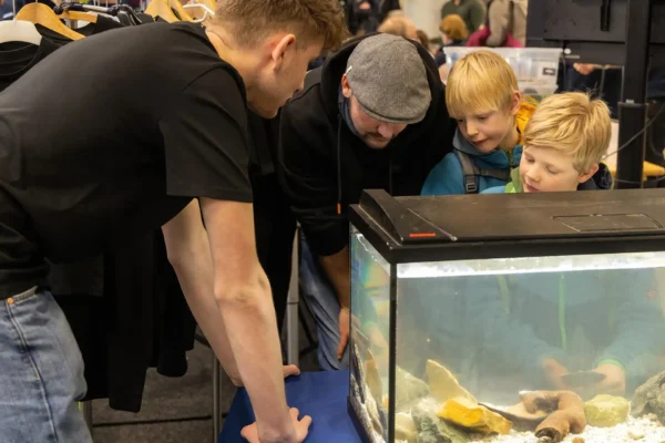 AVN_FMO_260221_125005_DN