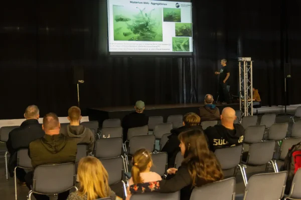 AVN_FMO_260221_164853_DN