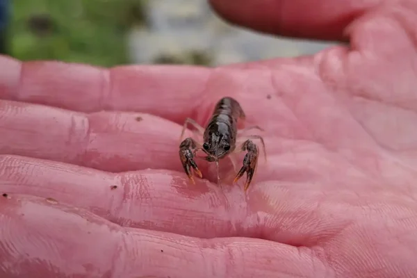 260423_Zukunftstag_R.Gerken_AVN_web (11)