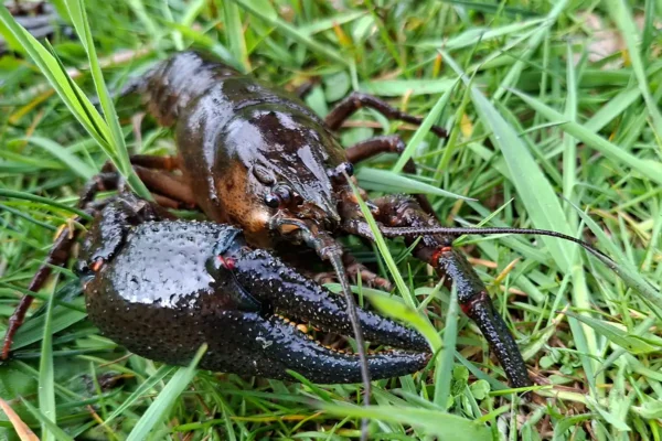 260423_Zukunftstag_R.Gerken_AVN_web (16)