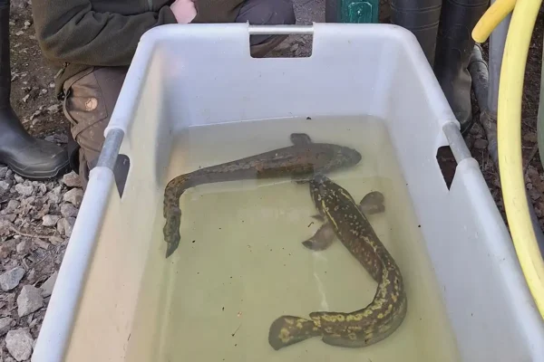 260423_Zukunftstag_R.Gerken_AVN_web (55)