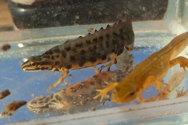 260423_Zukunftstag_R.Gerken_AVN_web (66)