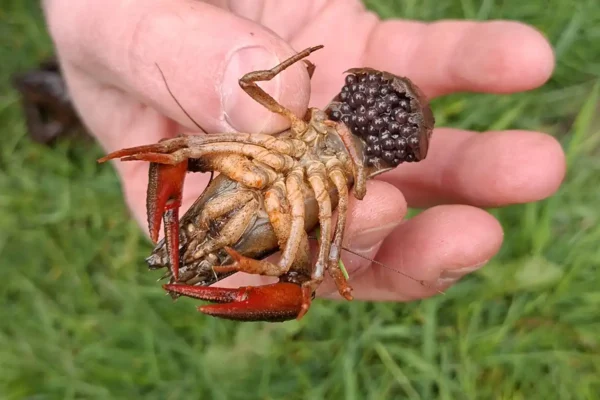 260423_Zukunftstag_R.Gerken_AVN_web (7)