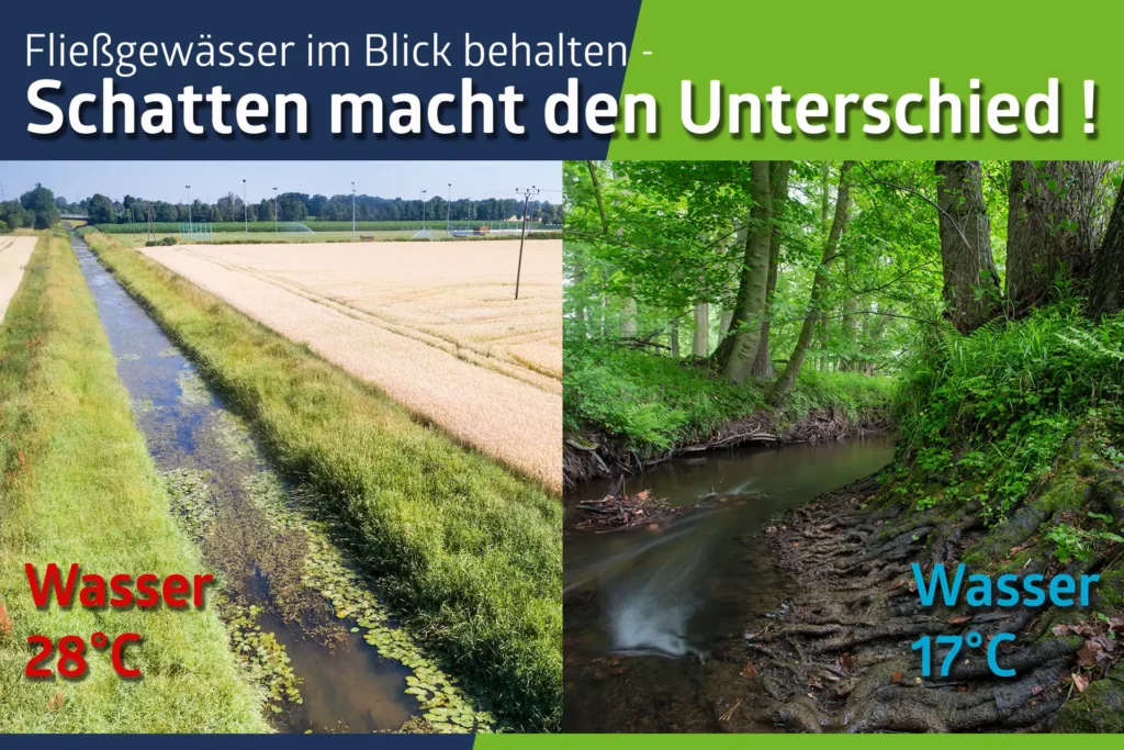 Fischsterben - Wassertemperatur - Beschattung
